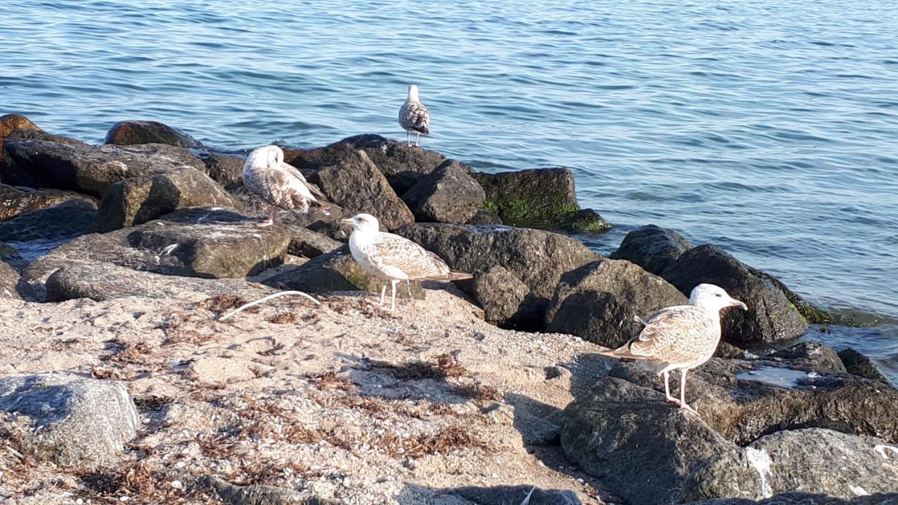 Dachgeschosswohnung Mit Seeblick Ahrensbok Buitenkant foto
